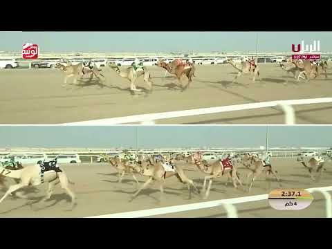  ش 21 (شرهة) لـ عبدالله دخيل الله الجهني 5:54:36 , مهرجان الأمير الوالد 2026/2/4 حقايق الشحانية