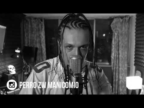 Perro Zw - CYPHER TITANIUM MX (Fuera de este Mundo)