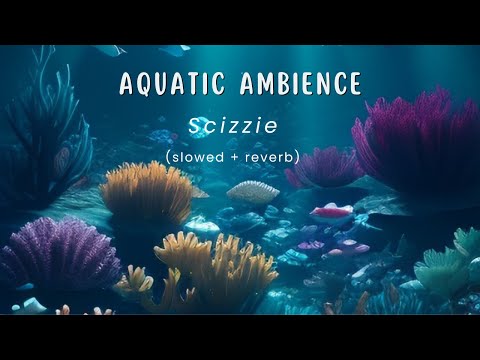 Aquatic Ambience - Scizzie (slowed + reverb) 1 Hour