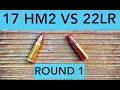 22lr vs the little step brother the 17 MACH 2 episode 1
