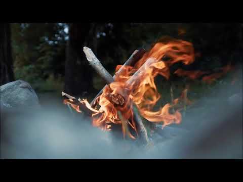 Kniha Liščí proroctví: Za hranicemi lesa