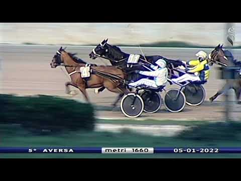 Aversa trotto 5 Gennaio 2022 - 5° Corsa