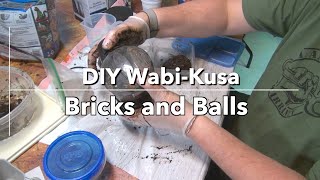 DIY Wabi Kusa Bricks and Balls