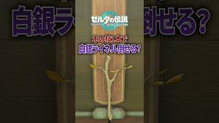 木の枝1本だけでライネルは倒せる？ #ゼルダの伝説 #ティアキン
