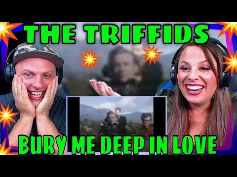 First Time Hearing THE TRIFFIDS - BURY ME DEEP IN LOVE 1987 (Audio Enhanced)