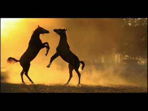 Les Tziganes Ivanovitch - Suite Roumaine