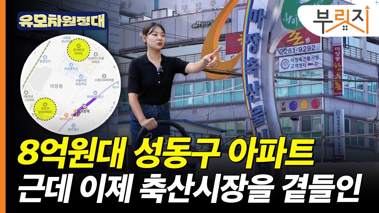 초역세권 소규모, 청계천변 대단지…뭘 좋아하실지 몰라 다 준비했습니다[유모차원정대 마장편]