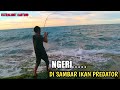 ULTRALIGHT CASTING PINGGIRAN || PERTAMA IKUT MANCING DI SPOT INI LANGSUNG DI SAMBAR IKAN PREDATOR