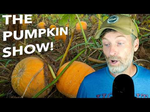 Growing Great Pumpkins + Navigating the Wild World of Weather