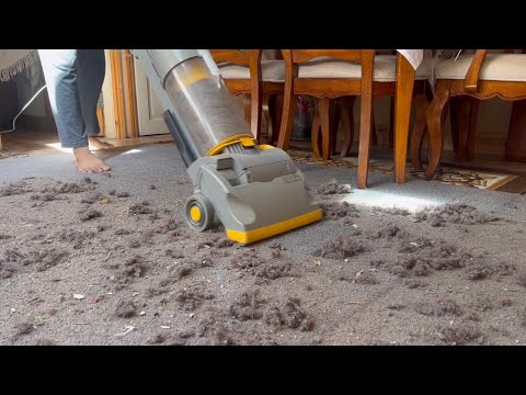 Dyson DA001 vacuum cleaner - Performance testing