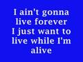 Bon Jovi - It's My Life(Karaoke) 
