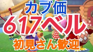 【あつ森とテトリス】カブ617ベル島546ベル島など　ライブ参加型