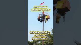Download lagu Spectators go hysterical as a racing chicken hangs from the top of a 13-meter pole .. mp3