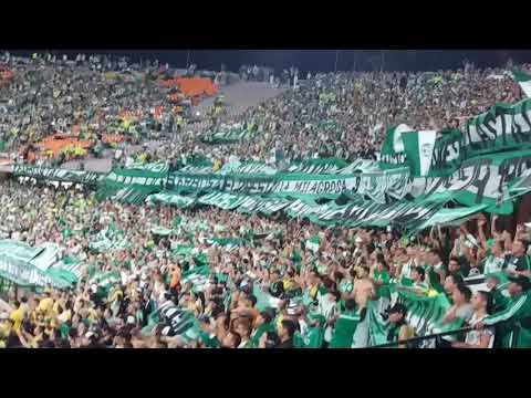 "Todas Las Campañas Que Vivi | LosDelSur" Barra: Los del Sur &bull; Club: Atlético Nacional