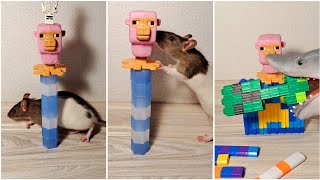 🎈Funny Tralalero Tralala🦈 plays Rat 🐁