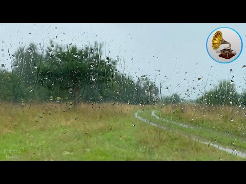 Relaxing sound of rain behind the car window.