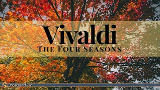 Vivaldi - The Four Seasons (Metamorphose String Orchestra)