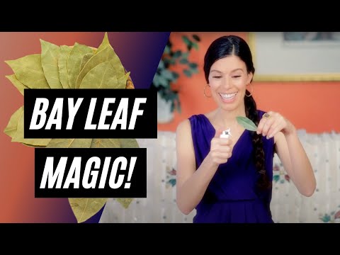 Mga review tungkol sa slimming yogurt na may beets Na pinapayuhan ng mga doktor na mawalan ng timbang