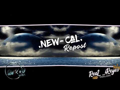 WEST SIDE 987BIRD FREE MIX BASS 2K19