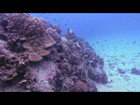 Perfect place to escape