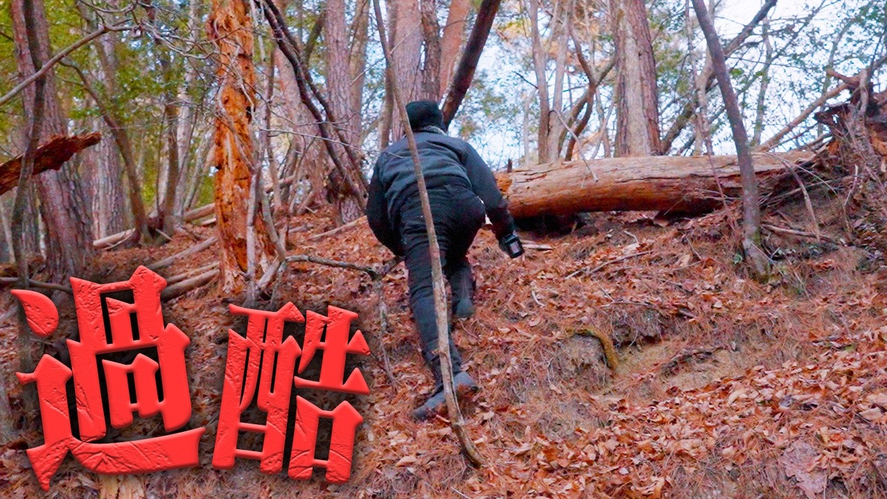 【山の開拓】急斜面で材料集め…そこで謎の○○が… #722