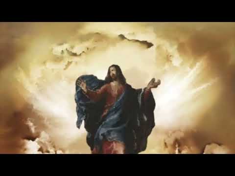 king jean -moving dope