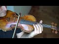 Dvorak Romantic Pieces - Allegro Moderato - Arnaud Sussmann