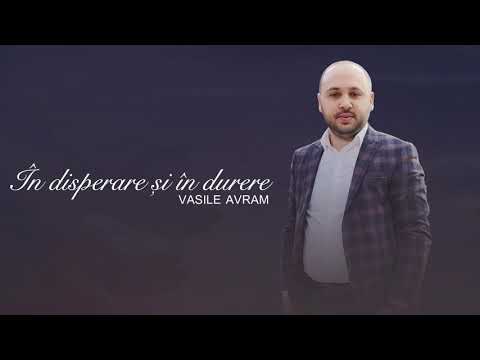 Vasile Avram - În disperare și în durere  [Official Lyric Video]