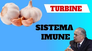Lair Ribeiro Comenta Sobre Alho - Turbine Seu Sistema Imune!!