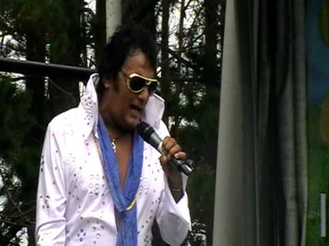 Elvis in the park If I Can Dream.MPG
