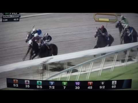 AZALEA S,(G STAKES) 2017 - WHO'S THE LADY