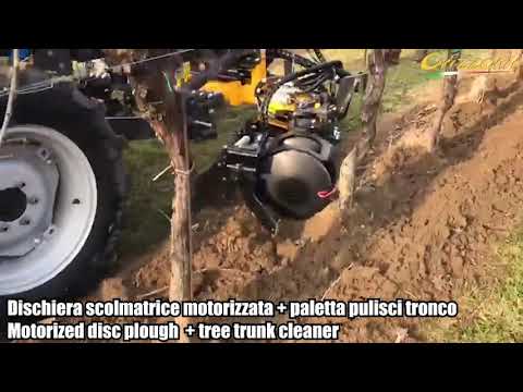 Prove in campo su vigneto