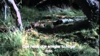 Introducing Palace Players - Mew (Sub Español)