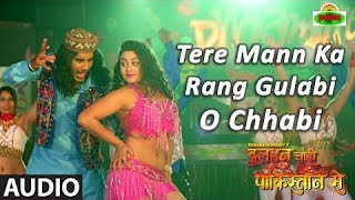 Tere Mann Ka Rang Gulabi O Chhabi Full Audio Song 