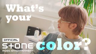 kursor (커서) - What’s Your Color? MV