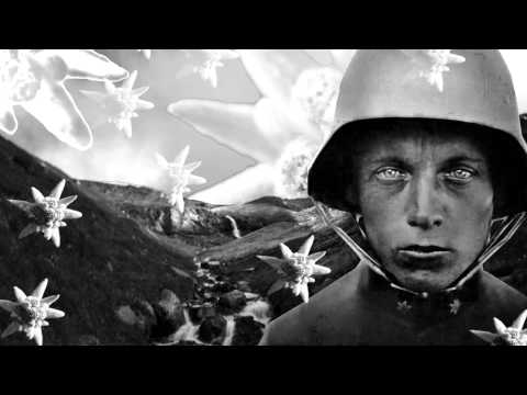 Strydwolf und Nortfalke  - Sonnenstrahl