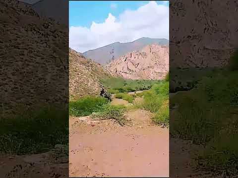 #ytshorts #nature #travesia #travel les sept couleurs où? Purmamarca