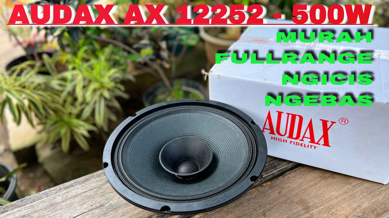 Rekomendasi Speaker 12 inchi FullRange AUDAX AX 12252