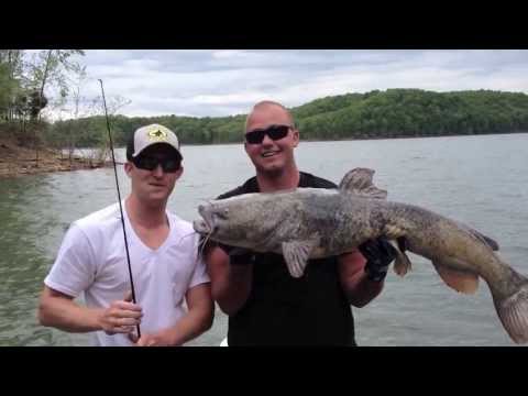BIg Flathead - The Angling Experience