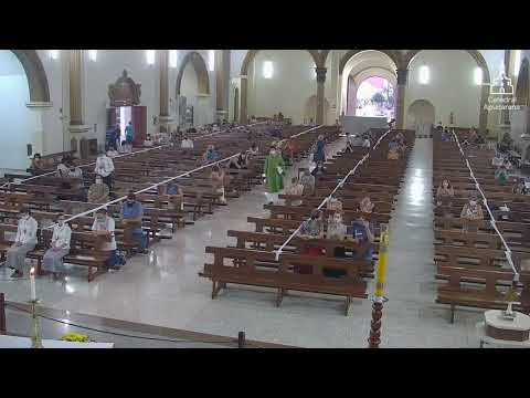 Santa Missa de Quinta-feira 26/11/2020 às 18h15min