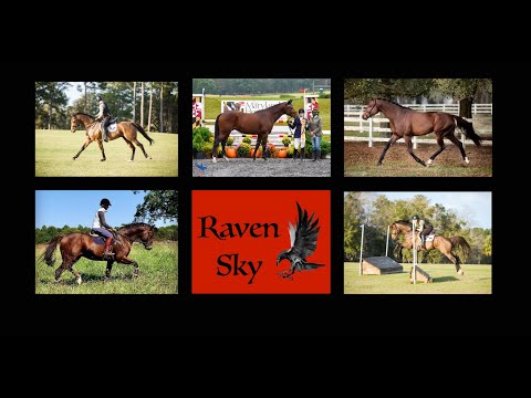 Raven Sky Promo - April 2021