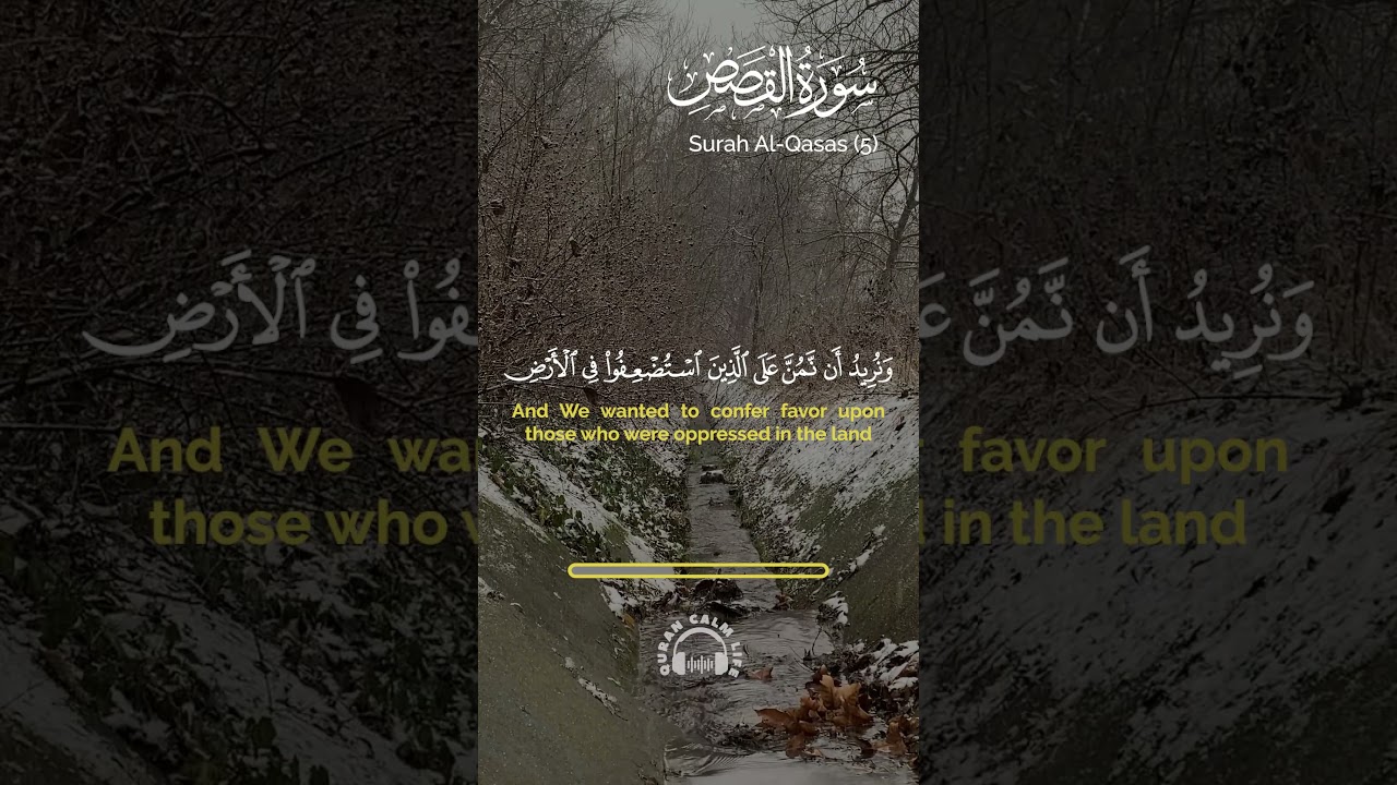 و ن ريد أ ن ن م ن ع ل ى ال