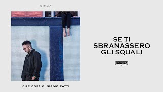 Se ti sbranassero gli squali Music Video