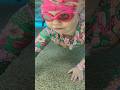 Baby Swim Water Familiarisation For Learn To Swim #underwater #pool #swimming #splash #learntoswim
