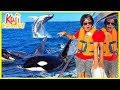 We Found Lots Of Whales In Hawaii