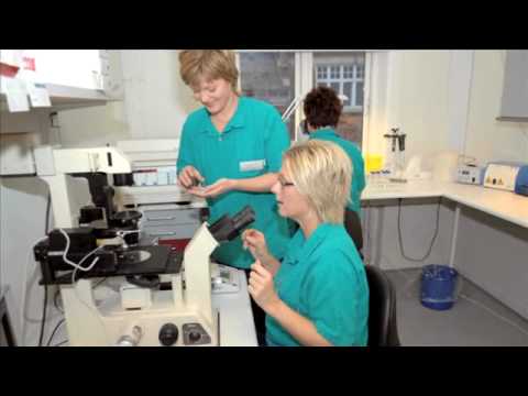 download lagu mp3 mp4 Odense Ivf Klinik, download lagu Odense Ivf Klinik gratis, unduh video klip Odense Ivf Klinik