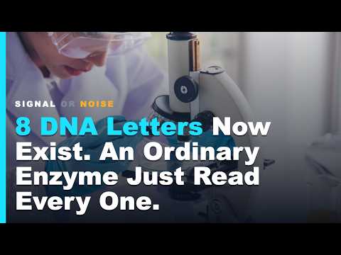 Life Runs on Four DNA Letters. Scientists Just Found a Natural ...