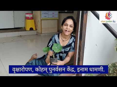 वृक्षारोपण कोहम्  पुनर्वसन केंद्र इनाम धामणी. 