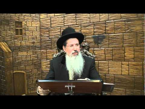 Rabbi Itzhak Yehoshua - What did Korach Take?