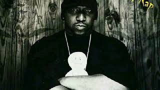 Kool G. Rap ft. N.O.R.E - Criminal Outfit